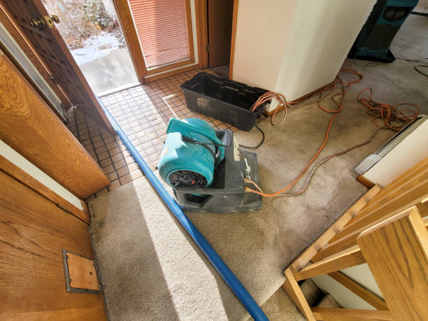 Best Emergency water damage restoration  in North Lima, OH
