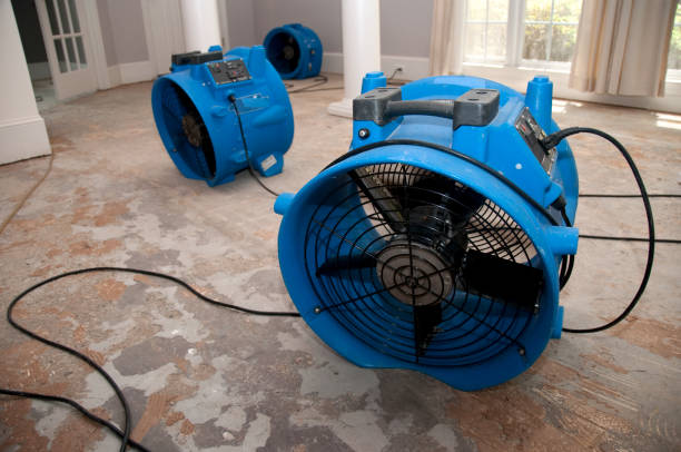 Best 24-hour water damage restoration  in North Lima, OH