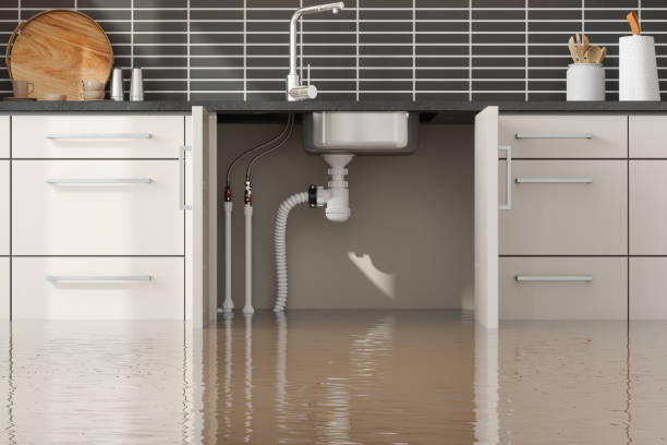 Best Local water damage restoration  in North Lima, OH