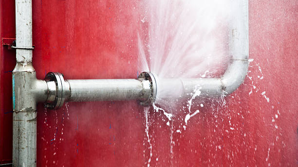 Best Flooded house restoration  in North Lima, OH